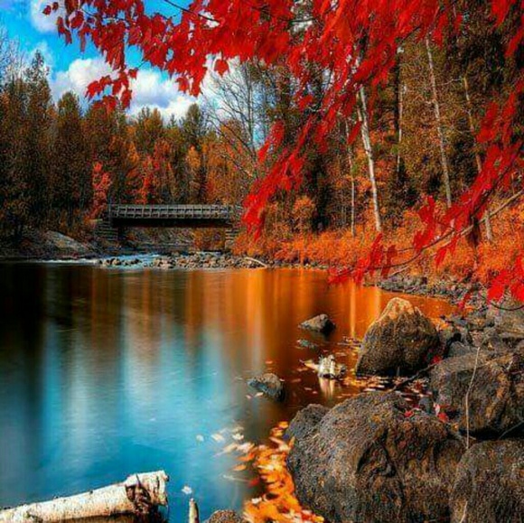 Meet your Posher, Monica - Picture 1 of 1